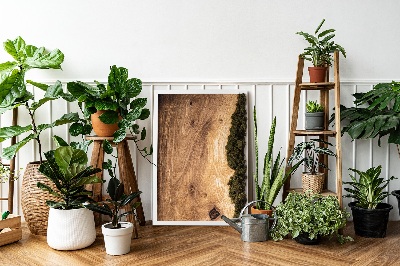 Quadro de musgo Tábua de carvalho natural