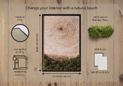Quadro de musgo Grão de madeira