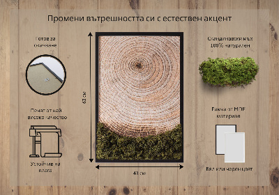 Quadro de musgo Grão de madeira