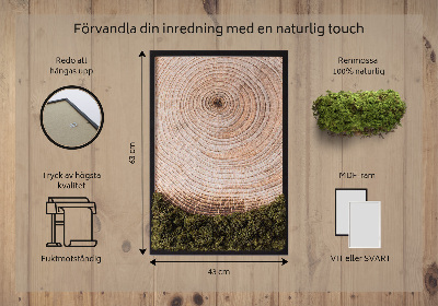 Quadro de musgo Grão de madeira