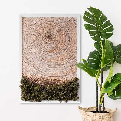 Quadro de musgo Grão de madeira