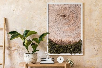 Quadro de musgo Grão de madeira