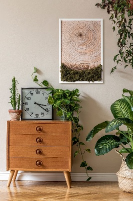 Quadro de musgo Grão de madeira