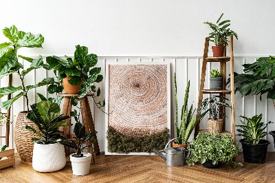 Quadro de musgo Grão de madeira