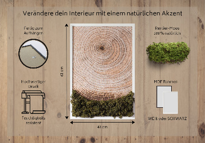 Quadro de musgo Grão de madeira