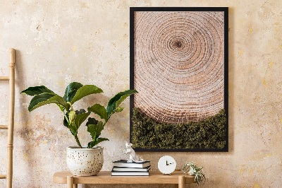Quadro de musgo Grão de madeira