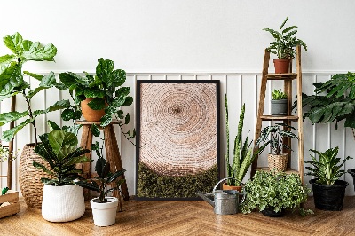 Quadro de musgo Grão de madeira