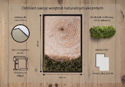 Quadro de musgo Grão de madeira