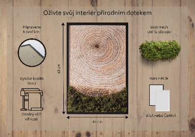 Quadro de musgo Grão de madeira