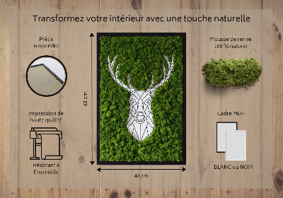 Quadro de musgo Veado geométrico