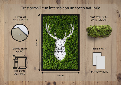 Quadro de musgo Veado geométrico