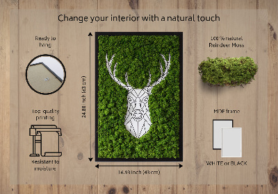 Quadro de musgo Veado geométrico