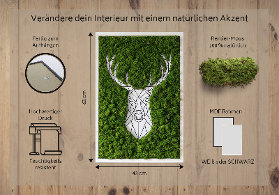 Quadro de musgo Veado geométrico