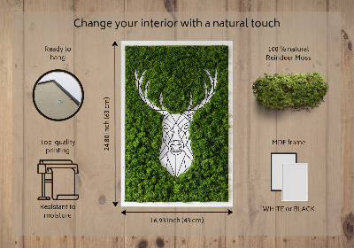 Quadro de musgo Veado geométrico