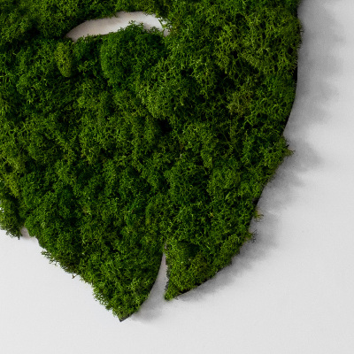 Decoração com musgo Hipster com barba