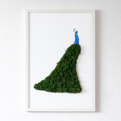 Decoração com musgo Pavão