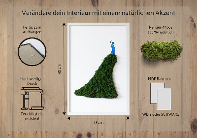 Decoração com musgo Pavão