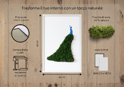 Decoração com musgo Pavão