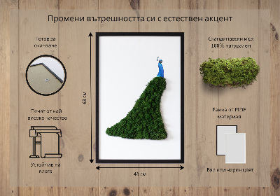 Decoração com musgo Pavão