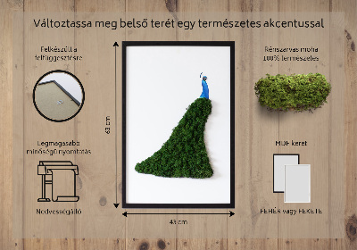 Decoração com musgo Pavão