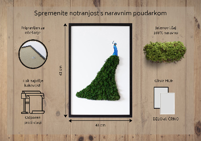 Decoração com musgo Pavão