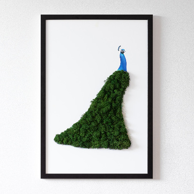 Decoração com musgo Pavão