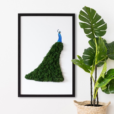 Decoração com musgo Pavão