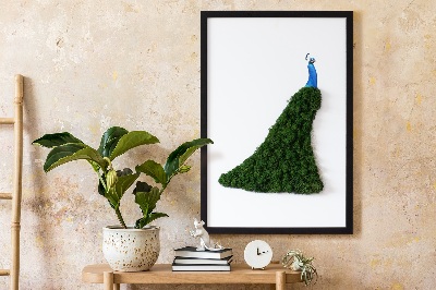 Decoração com musgo Pavão