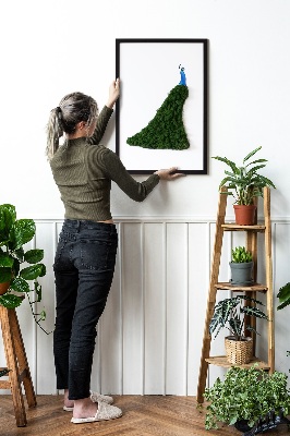 Decoração com musgo Pavão