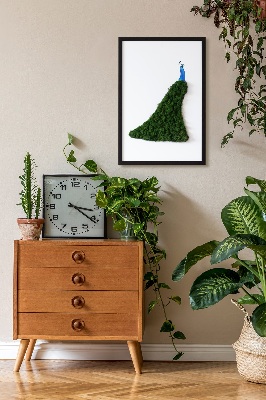 Decoração com musgo Pavão