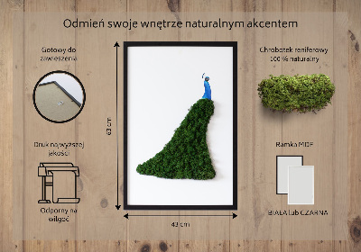 Decoração com musgo Pavão