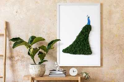 Decoração com musgo Pavão
