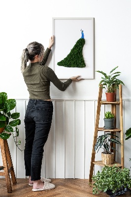 Decoração com musgo Pavão