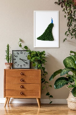 Decoração com musgo Pavão