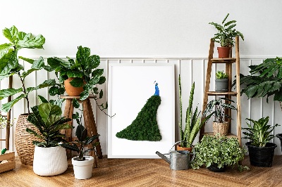 Decoração com musgo Pavão