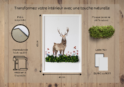 Quadro de musgo Veado entre as flores
