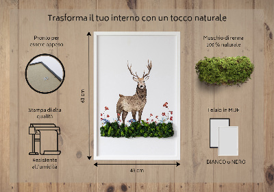 Quadro de musgo Veado entre as flores