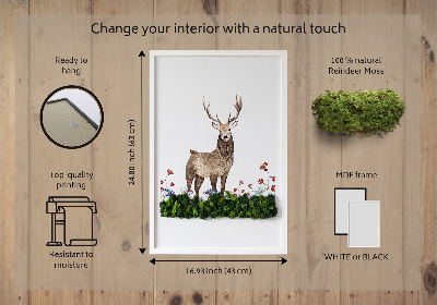 Quadro de musgo Veado entre as flores