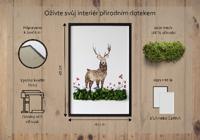 Quadro de musgo Veado entre as flores