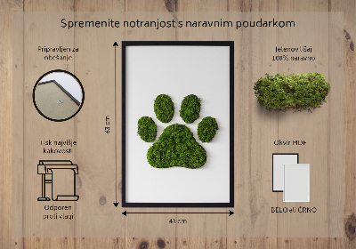 Quadro de musgo Pegada de pata