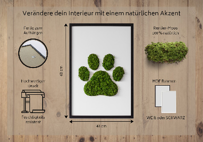 Quadro de musgo Pegada de pata