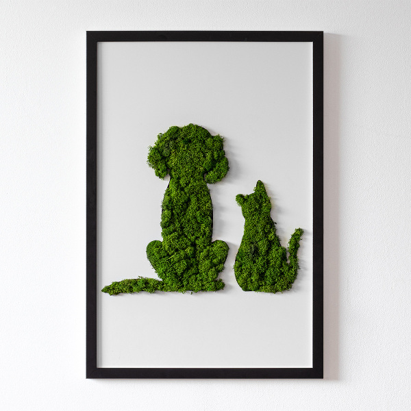 Quadro de musgo Cachorro com gato
