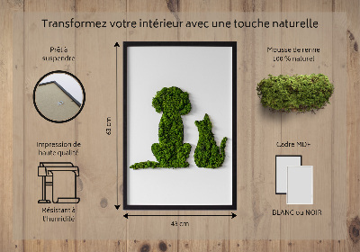 Quadro de musgo Cachorro com gato