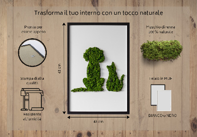 Quadro de musgo Cachorro com gato