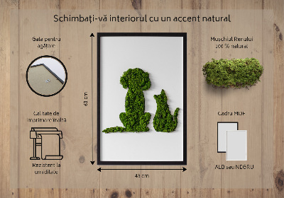 Quadro de musgo Cachorro com gato