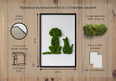 Quadro de musgo Cachorro com gato