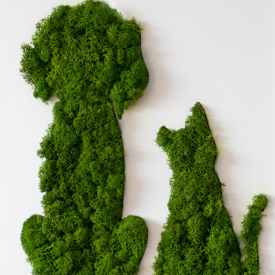 Quadro de musgo Cachorro com gato