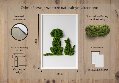 Quadro de musgo Cachorro com gato