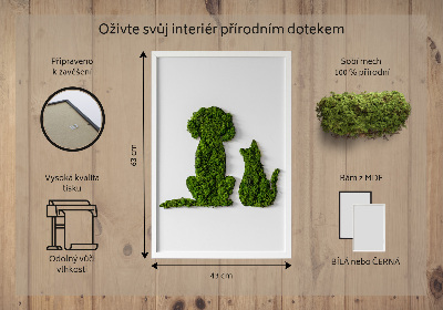 Quadro de musgo Cachorro com gato