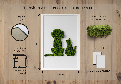 Quadro de musgo Cachorro com gato
